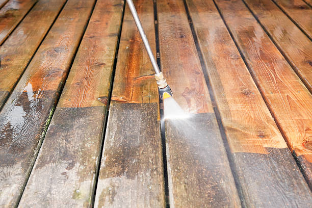 Trusted Horizon West, FL Pressure Washing Services Experts